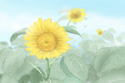 财库宜藏不宜露 兴家旺业看厨房 财库宜藏不宜露 兴家旺业看厨房