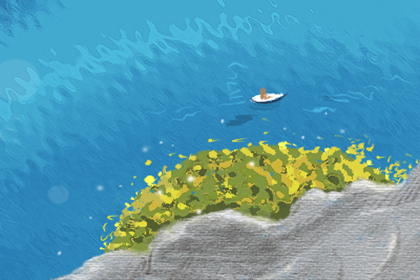 属鼠的人办公室养什么花最旺财 属鼠的人办公室养什么花最旺财