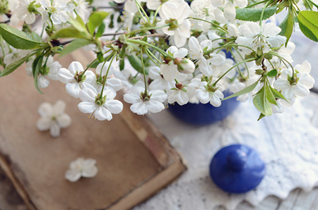 属马人2019年运势,2019年生肖运势