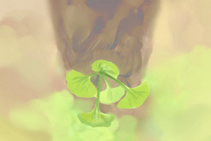 办公室摆放白掌风水好吗 办公室摆放白掌风水好吗