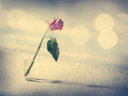 八字算命,开创事业的八字