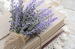 哪些生肖男最专一?