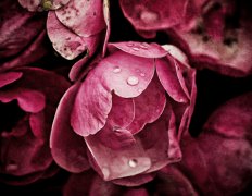 风水助你成为富一代