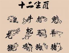 12生肖哪年出生非富即贵