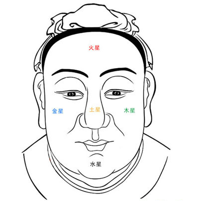 面相五星图 面相五星图