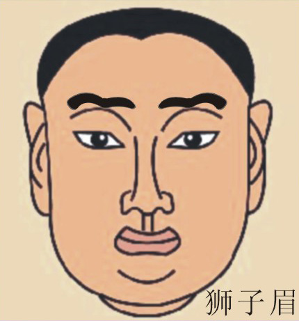 狮子眉 狮子眉