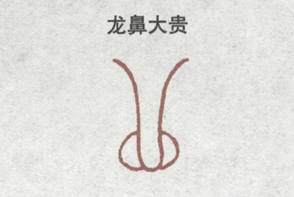 龙鼻 龙鼻