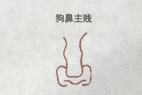 狗鼻 狗鼻