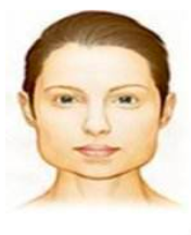 面相脸型——梯型脸 面相脸型——梯型脸