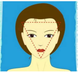 面相脸型——倒三角型脸 面相脸型——倒三角型脸