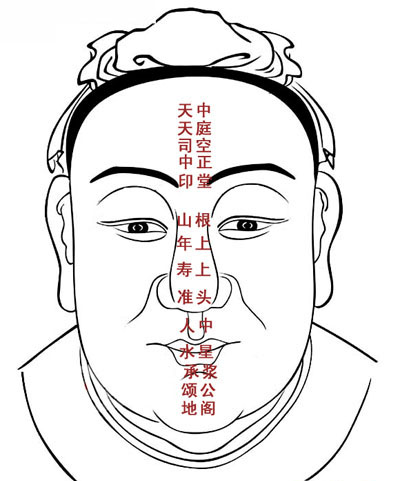 面相十三部位图 面相十三部位图