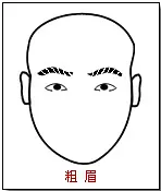 面相图解:眉毛 面相图解:眉毛