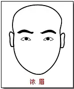 面相图解:眉毛 面相图解:眉毛