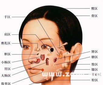 面相图解:眼下肿胀要注意肾脏、子宫 面相图解:眼下肿胀要注意肾脏、子宫