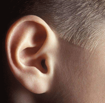 耳朵看你命中富贵清苦 耳朵看你命中富贵清苦