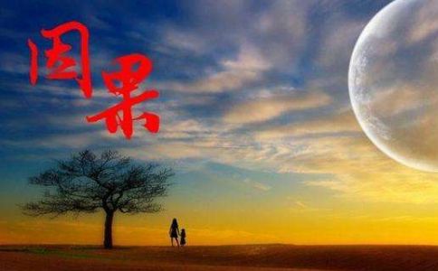 昨日因今日果 昨日因今日果