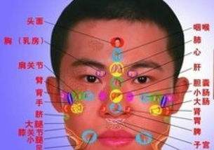 中医面诊升级版 中医面诊升级版