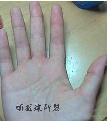 火木土型人和幸福的情感线 火木土型人和幸福的情感线