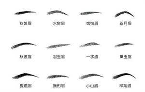 眉毛形状解读你的爱情 眉毛形状解读你的爱情