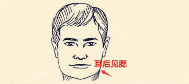 脑后见腮和耳后见腮一样吗？