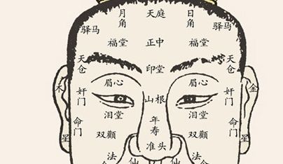 面相:龙眼者,善于领导 面相:龙眼者,善于领导