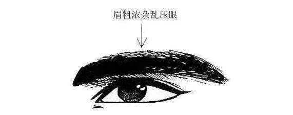 眉压眼人的性格与命运! 眉压眼人的性格与命运!