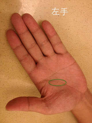 男生断掌,两条头脑线,天狗线,金星线的详解 男生断掌,两条头脑线,天狗线,金星线的详解