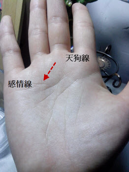 男生断掌,两条头脑线,天狗线,金星线的详解 男生断掌,两条头脑线,天狗线,金星线的详解