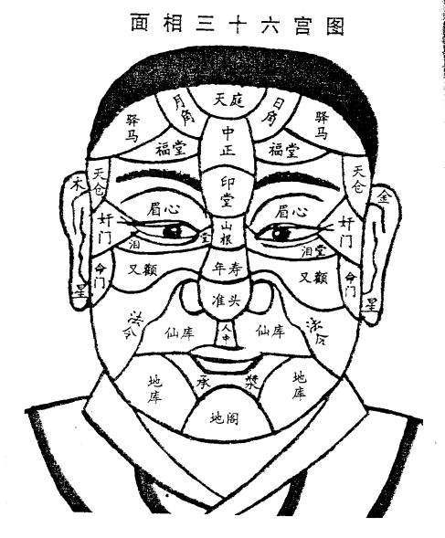 面相教看你一生运势 面相教看你一生运势