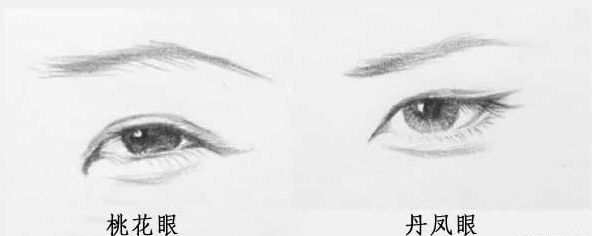 桃花眼和丹凤眼怎么区别? 桃花眼和丹凤眼怎么区别?