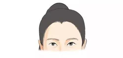 美人尖是什么? 美人尖是什么?