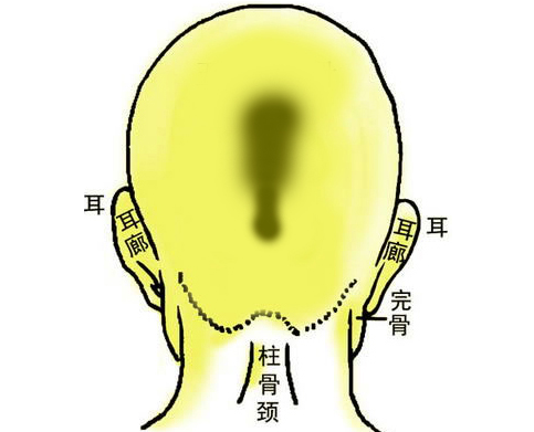 连环背枕骨 连环背枕骨