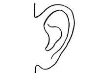 耳朵算命图解,耳朵运势