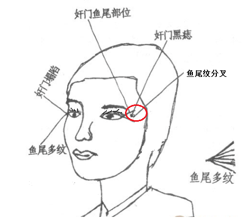 面相知识奸门,夫妻宫看婚姻