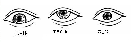 刘恒注解民间识人顺口溜,看眼睛面相知道命运