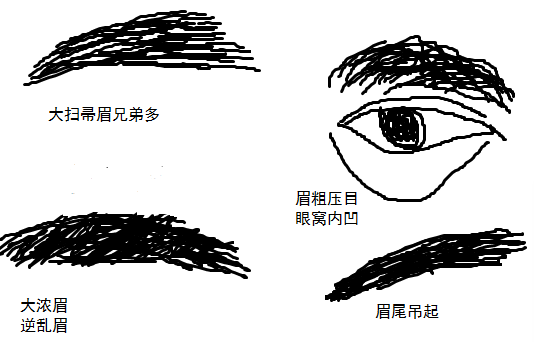 面相过三关,看眉毛知道兄弟姐妹数目