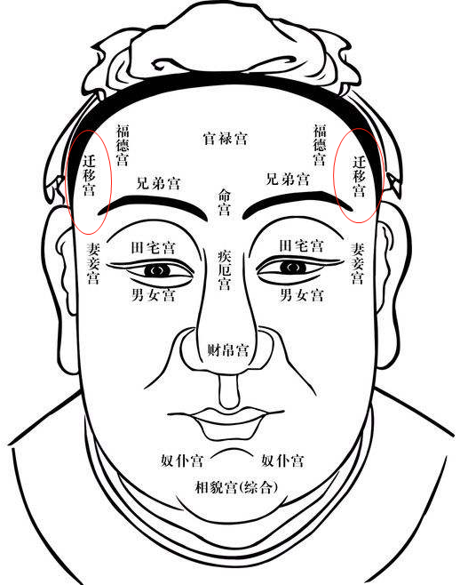 迁移宫:额头两侧
