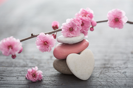 生肖运势,今日生肖运势