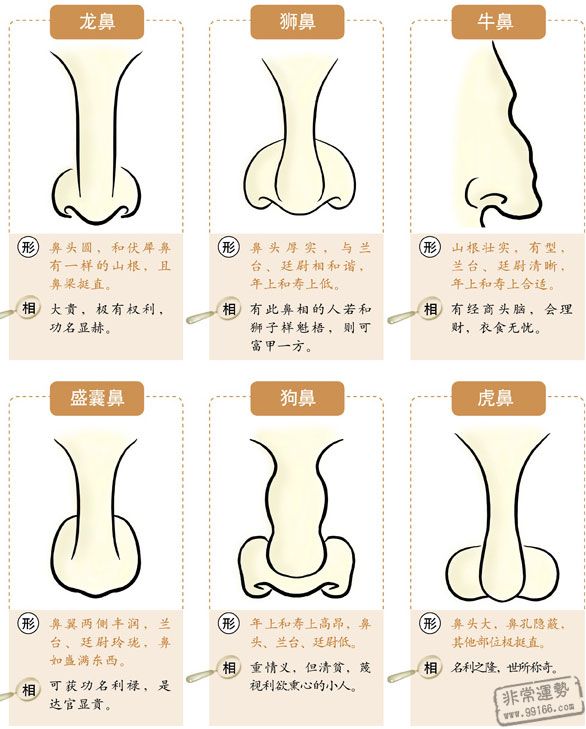 鼻子面相,鼻子看相,鼻子看运势