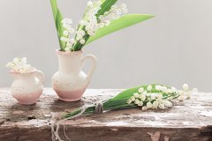 属狗的今年多大，2020年属狗的几岁