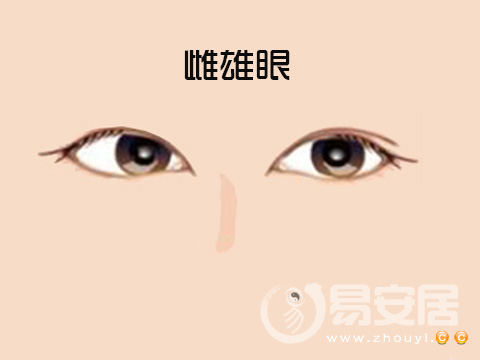 眼睛一边单一边双
