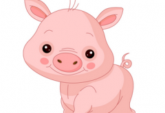 1971年出生的属猪的人2019年运程
