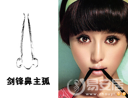 剑锋鼻面相图解